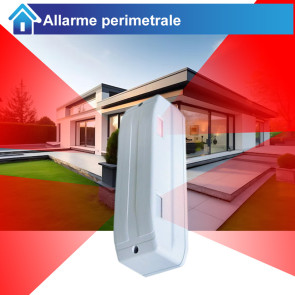 Allarme perimetrale 