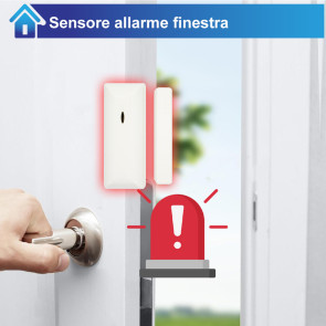 Allarme per finestre