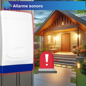 Allarme sonoro