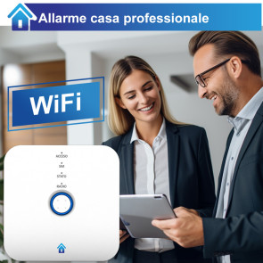 Allarme casa professionale