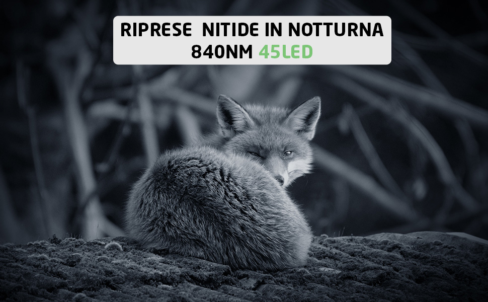 Fotocamera Da Caccia 4K 37MP Con Visione Notturna Infrarossi E Sensore PIR Fino A 30m – SG520-D Per Outdoor E Sicurezza